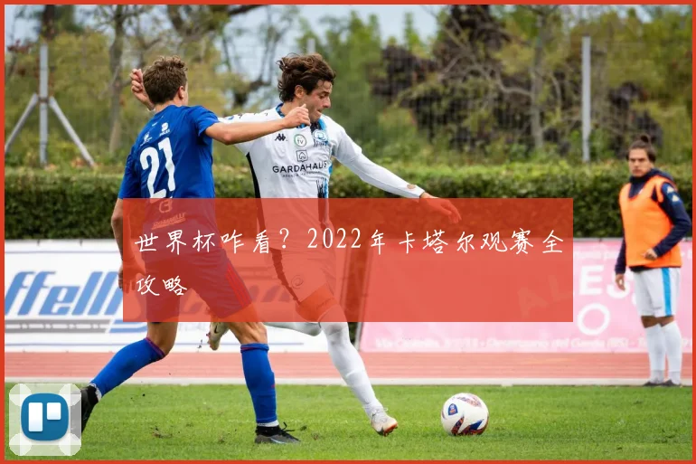 世界杯咋看？2022年卡塔尔观赛全攻略
