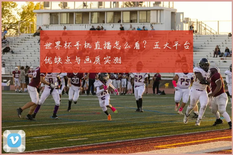世界杯手机直播怎么看?五大平台优缺点与画质实测