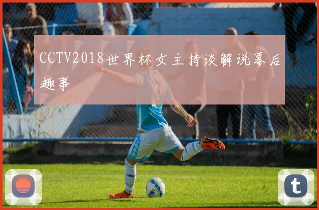 CCTV2018世界杯女主持谈解说幕后趣事