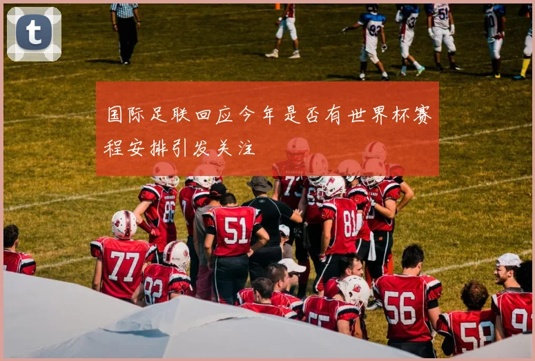 国际足联回应今年是否有世界杯赛程安排引发关注