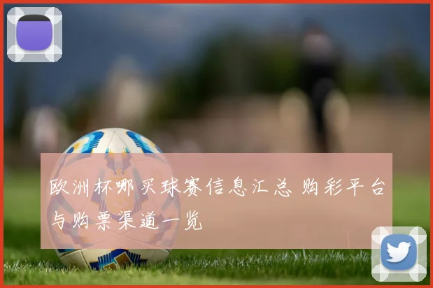 欧洲杯哪买球赛信息汇总 购彩平台与购票渠道一览