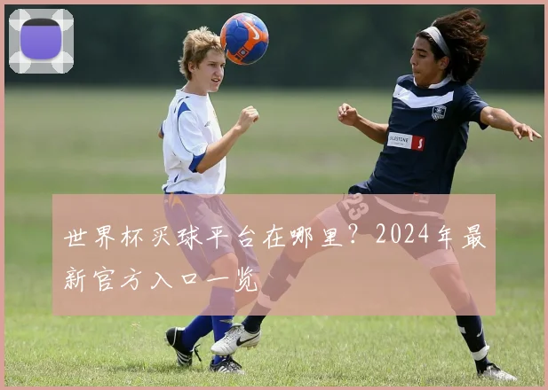世界杯买球平台在哪里?2024年最新官方入口一览