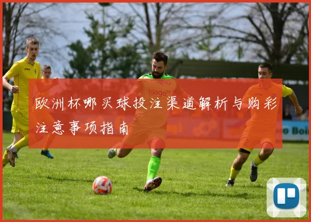 欧洲杯哪买球投注渠道解析与购彩注意事项指南