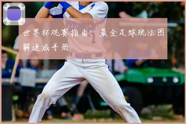 世界杯观赛指南:最全足球玩法图解速成手册