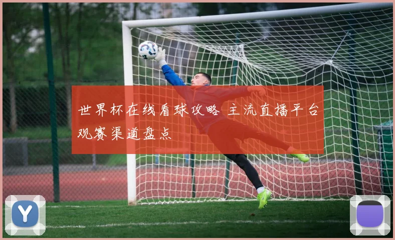 世界杯在线看球攻略 主流直播平台观赛渠道盘点