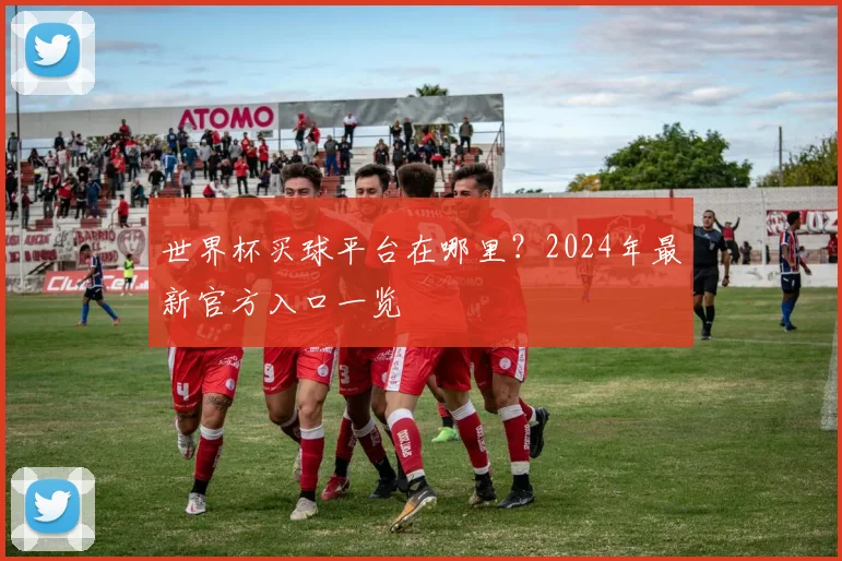 世界杯买球平台在哪里?2024年最新官方入口一览
