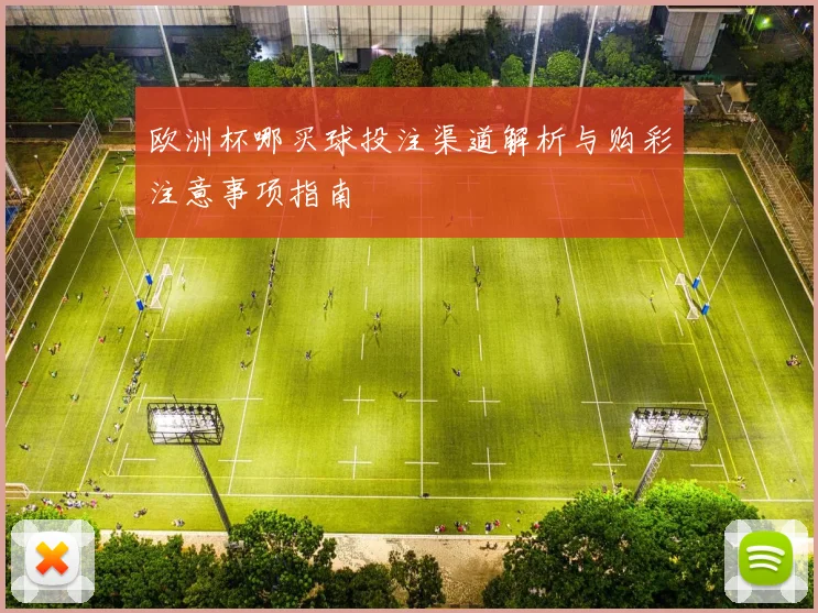 欧洲杯哪买球投注渠道解析与购彩注意事项指南