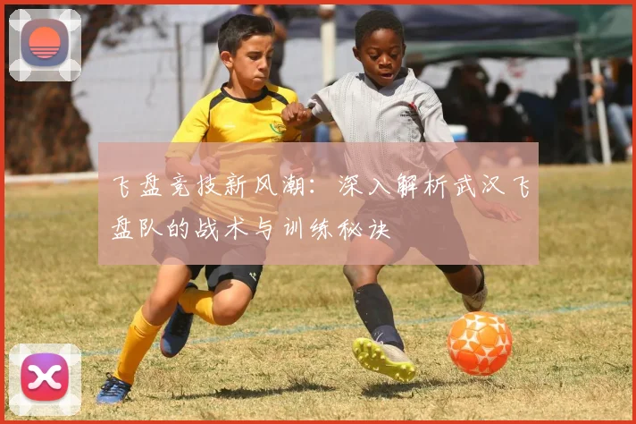 飞盘竞技新风潮：深入解析武汉飞盘队的战术与训练秘诀