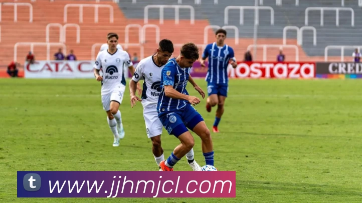 华体会体育平台生态图